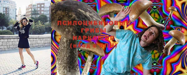 дурь Алзамай