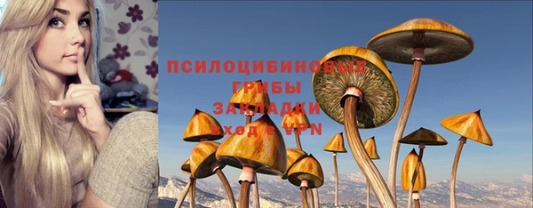 дурь Алексеевка