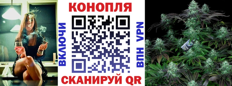 Марихуана SATIVA & INDICA  сколько стоит  Беслан 
